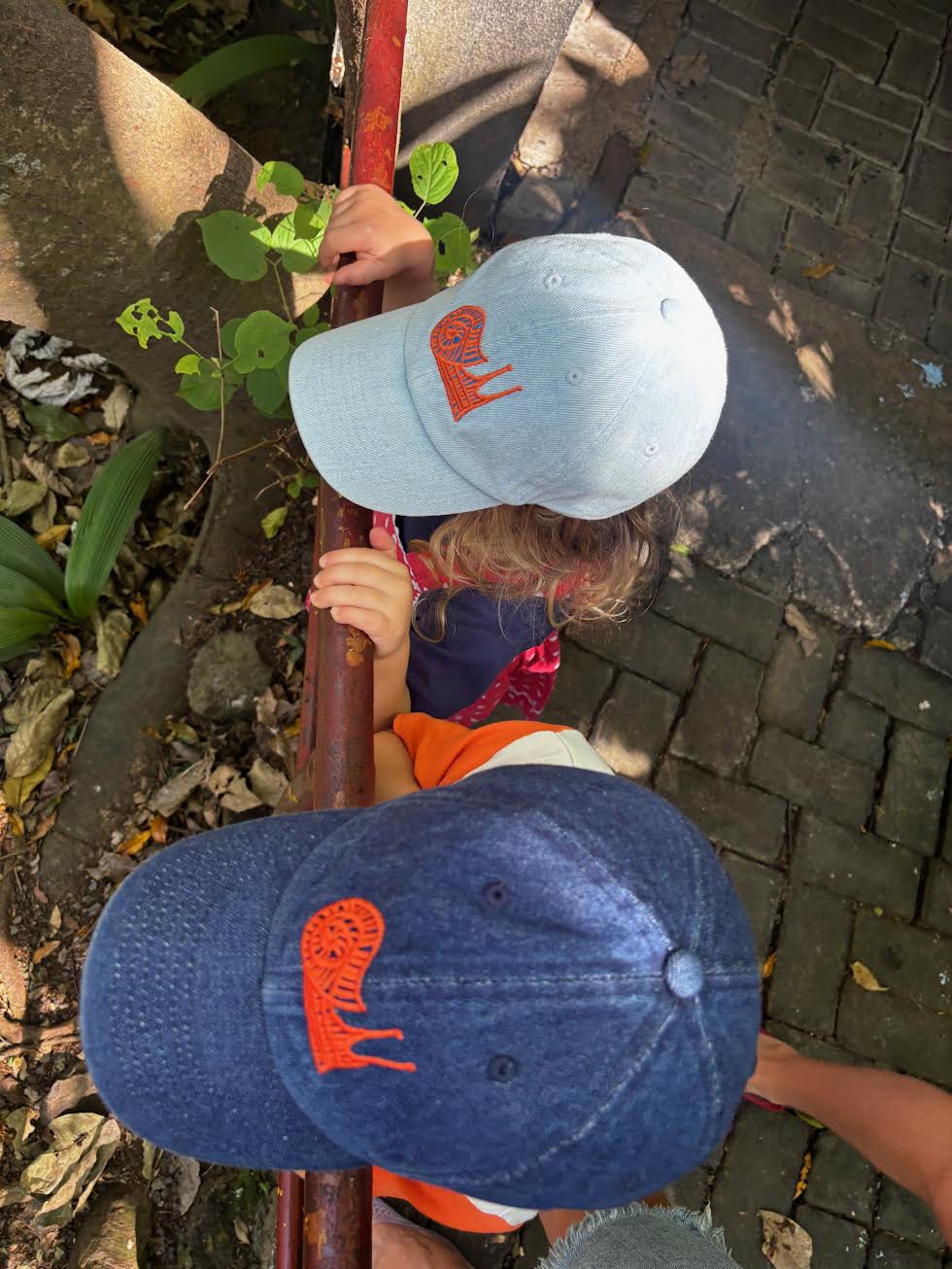 Snail Kids Dark Denim Cap NEW!