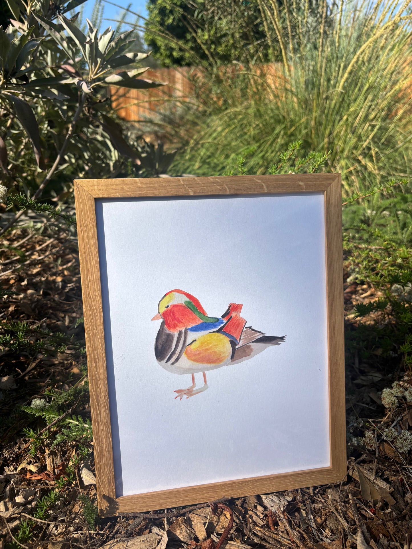 Bird Print Framed NEW!