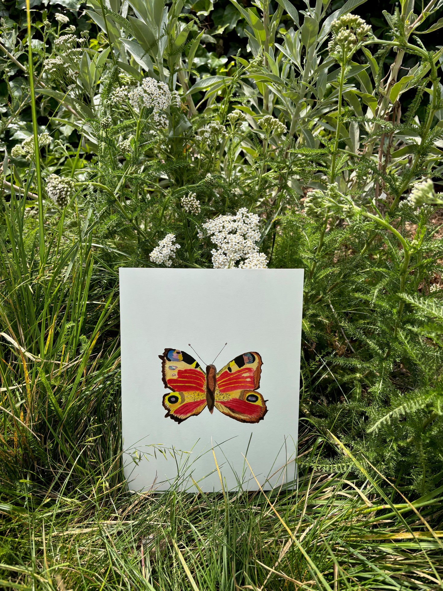 Magic Butterfly Print Framed