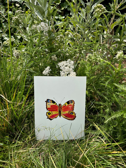 Magic Butterfly Print
