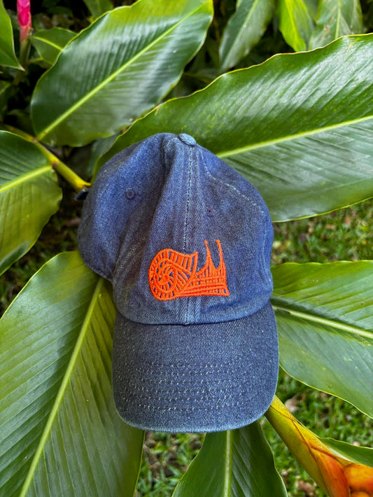 Snail Kids Dark Denim Cap NEW!