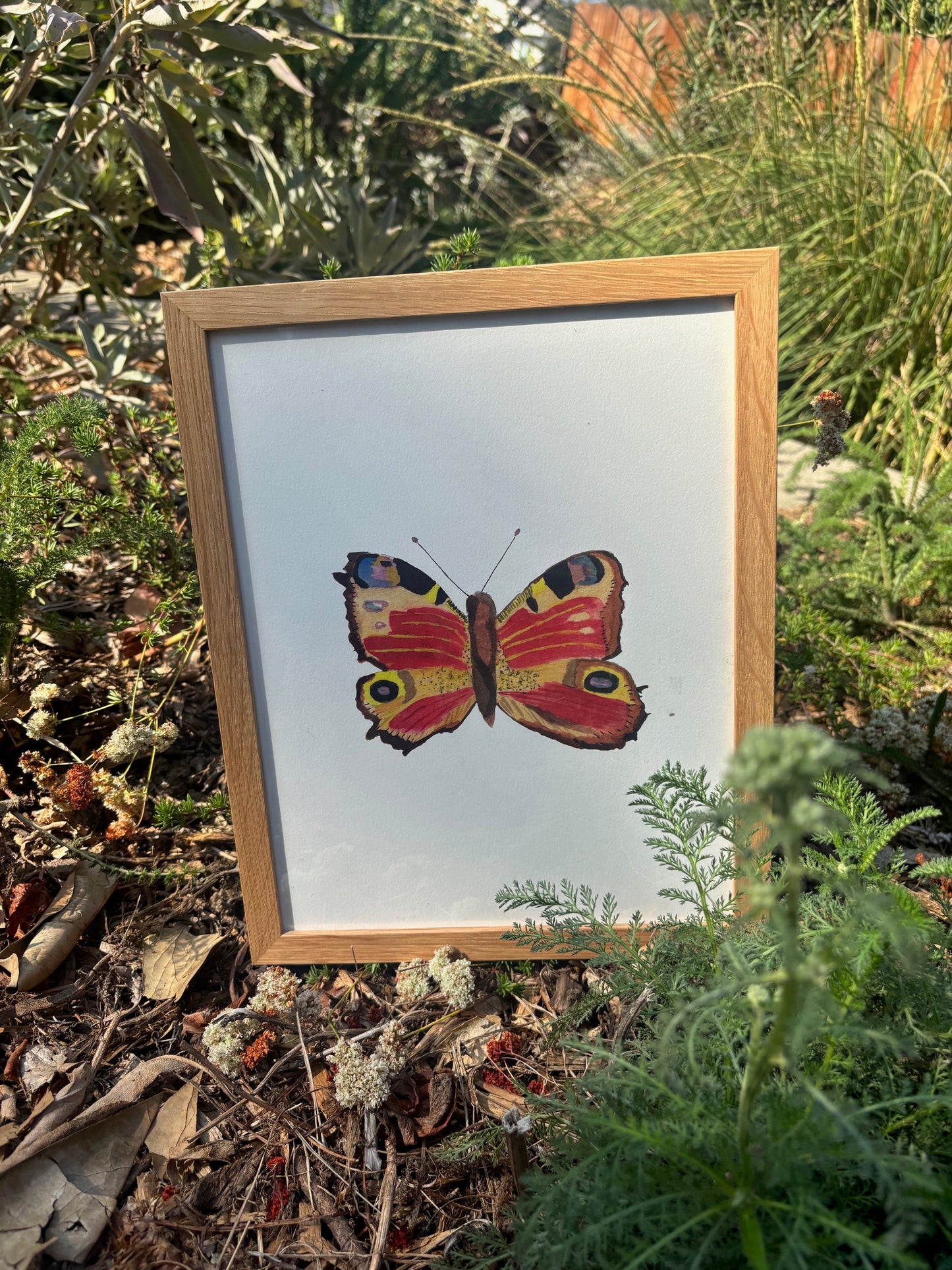 Magic Butterfly Print Framed