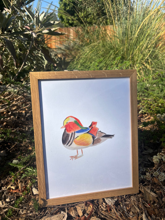 Bird Print Framed NEW!