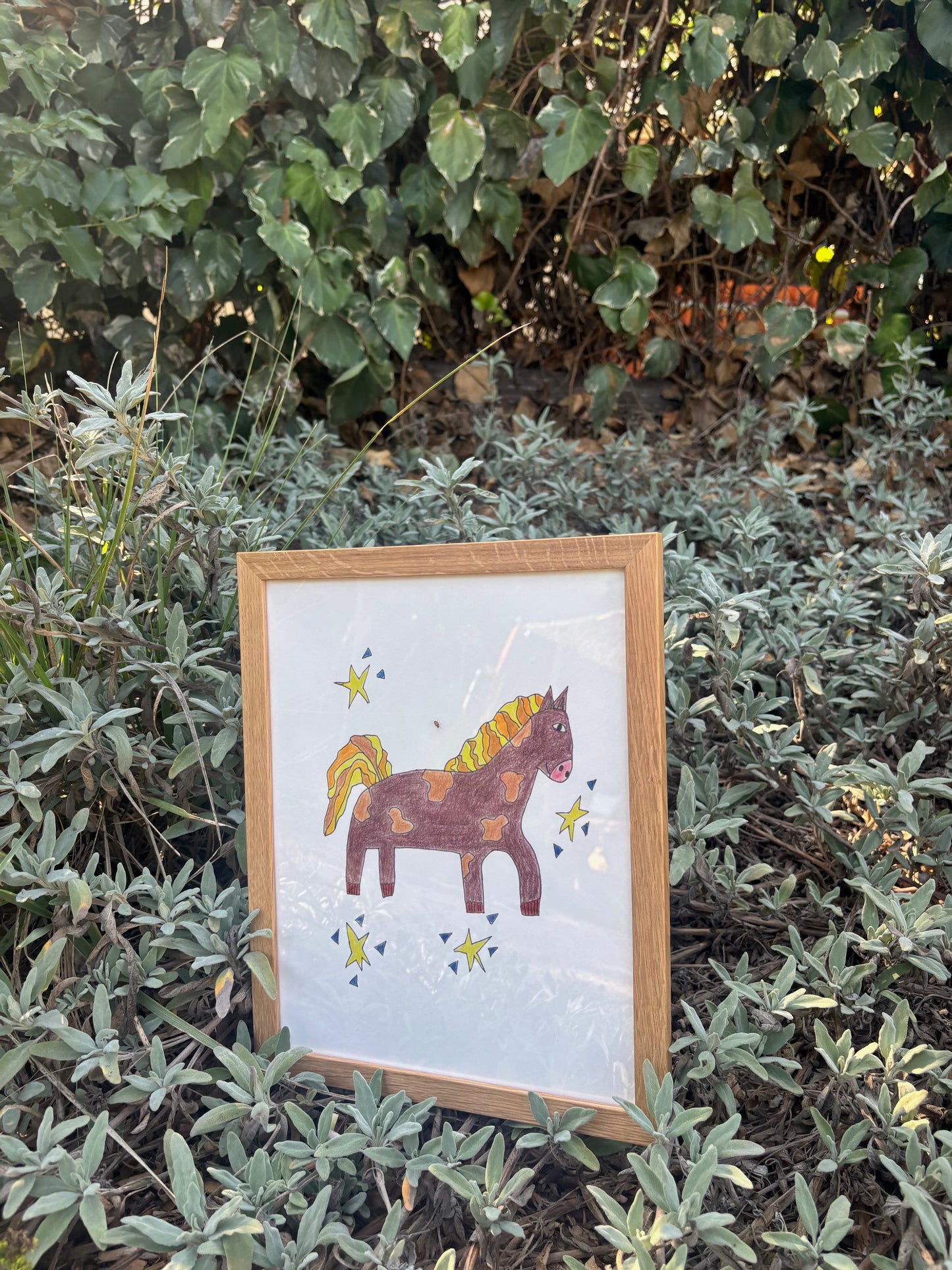 A Star Poney Print Framed NEW!
