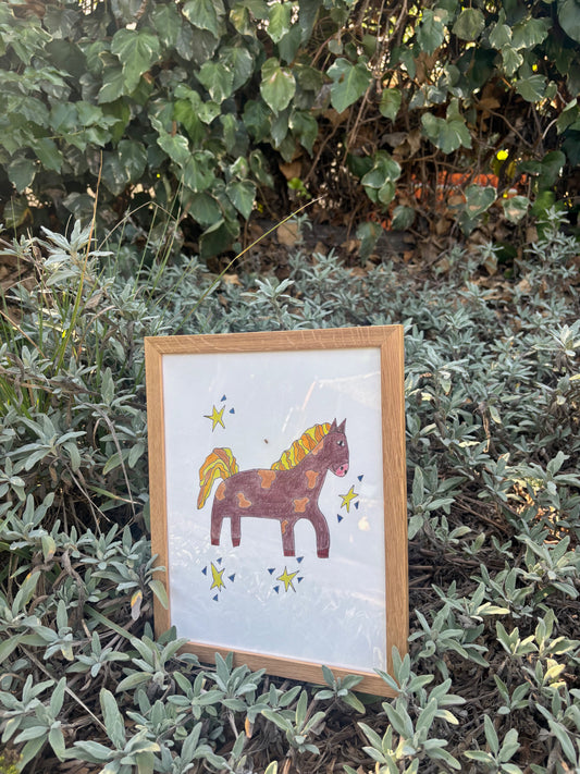 A Star Poney Print Framed NEW!