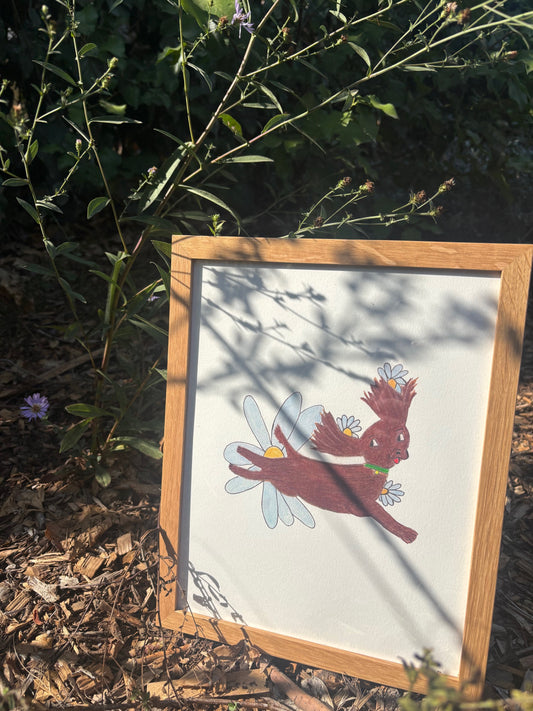 Daisy Dog Print Framed