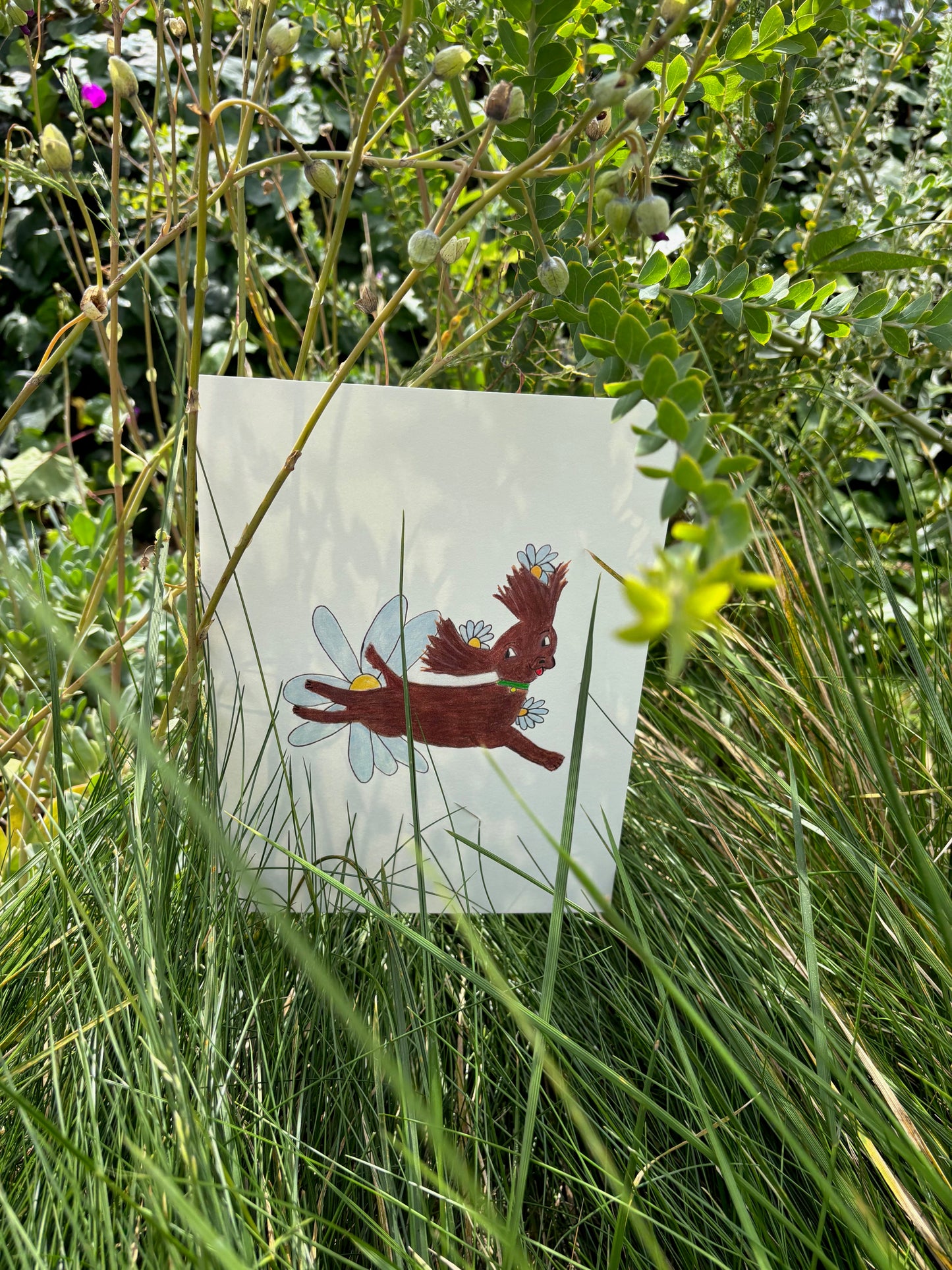 Daisy Dog Print Framed